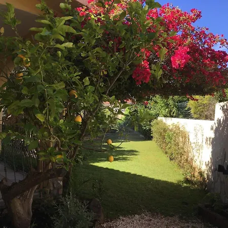Villa Holiday Home